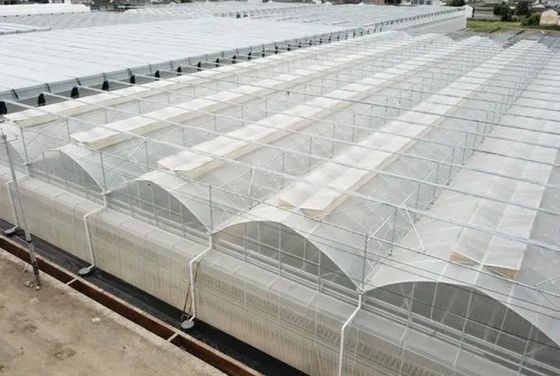 Происхождение Гидропоническая теплица с двойной аркой JX-FG-001 с и 1 квадратный метр Min.Order