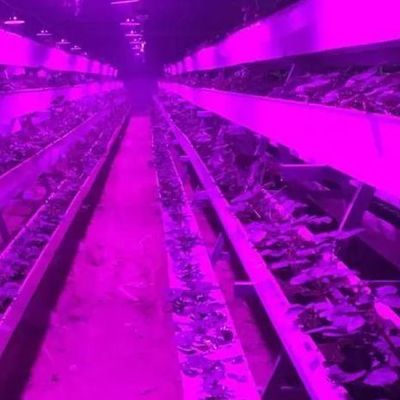 Устройство для выращивания растений с регулируемым влажностью 12,09 см * 2,35 см * 2,39 см Размер упаковки