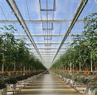 US Float Single Span Greenhouse для овощей/фруктов/цветов и возвраты