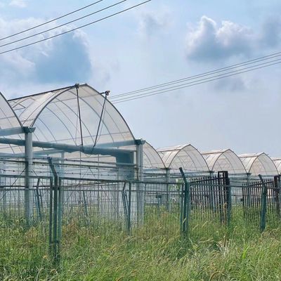 Двойная лучевая луча солнечная теплица со снежным вибратором прочная и устойчивая к погодным условиям