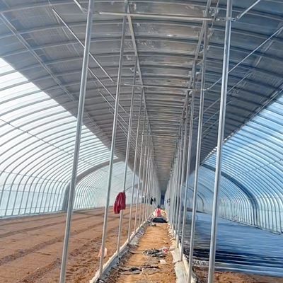 Коммерческая теплица с одноразовой тоннельной пленкой с 30-дневной гарантией возврата