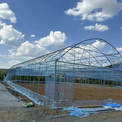 Теплица для производства помидоров и огурцов с гидропонической системой выращивания
