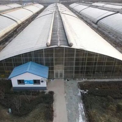 PE-пленка пластмасса сельскохозяйственный парниковый раствор Пакет Размер 50,00 см * 60,00 см * 50,00 см