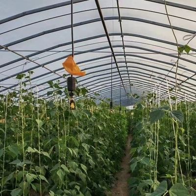Политоннельный пластиковый тоннель одноразовый сельскохозяйственный теплица на заказ