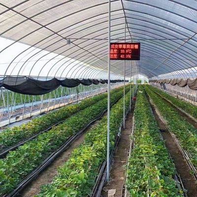 Политоннельный пластиковый тоннель одноразовый сельскохозяйственный теплица на заказ