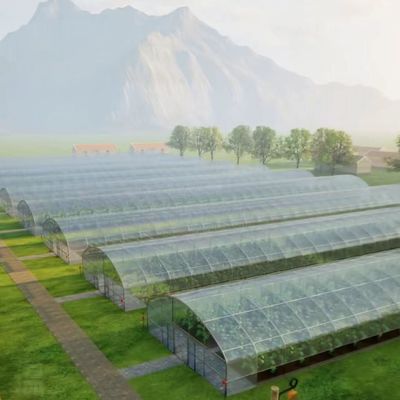 US 20/Piece Vegetable Greenhouse with Single-Span Agriculture Tunnel Plastic Film (США 20/Piece Vegetable Greenhouse with Single-Span Agriculture Tunnel Plastic Film) - Тепличная теплица для растений с одноразовой сельскохозяйственной тоннельной пластиковой пленкой