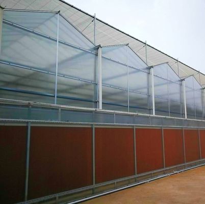 Промышленные мультипространственные теплицы с гидропонной технологией и материалами