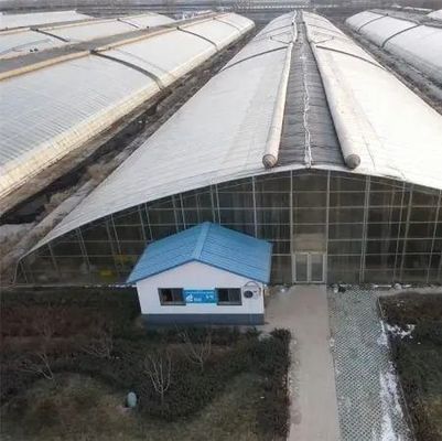 Теплица для выращивания семян и лекарственных растений/грибов с пластиковым листом
