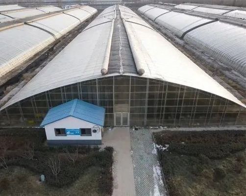 Преобразуйте свой опыт земледелия с помощью системы гидропоники помидоров, огурцов и клубники