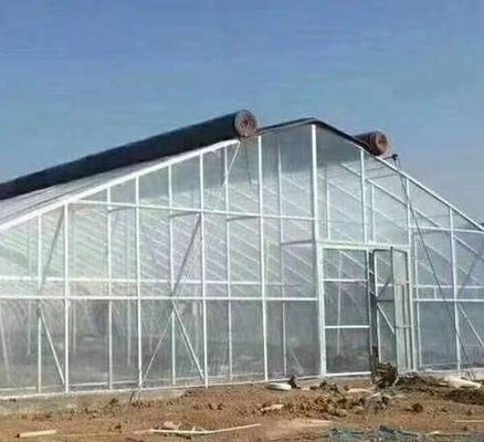 Теплица для крупномасштабного производства и выращивания грибов