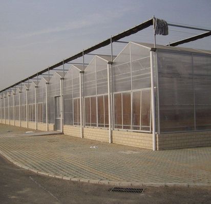 20GP 40GP 40HC Multi-Span PE Film Пластиковый сельскохозяйственный тепличный комплект для многоразового использования