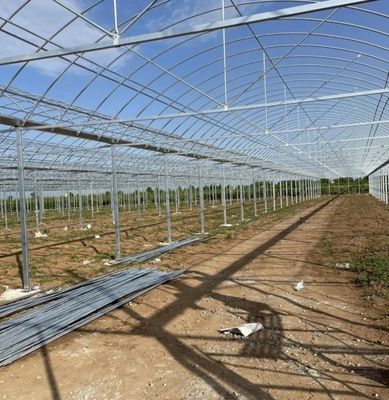 Большие аквакультуры Томаты Огурцы Ягоды Гидропоника Теплица с высокой урожайностью