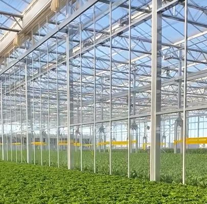 Коммерческие теплицы с двойной аркой теплицы с вибратором для снега в долларах США