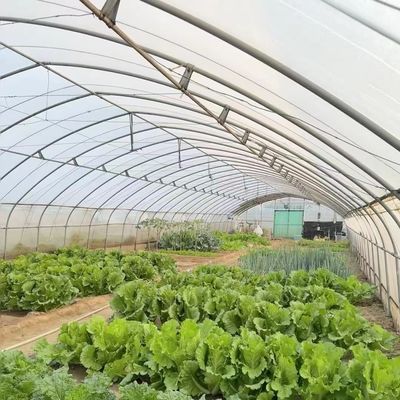Большое инновационное сельское хозяйство Арочные туннельные теплицы идеально подходят для круглогодичного выращивания