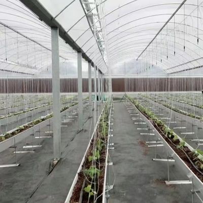 Гидропоническая система квадратного метра для крупномасштабного производства овощей и цветов