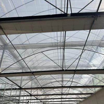 Гидропоническая система квадратного метра для крупномасштабного производства овощей и цветов