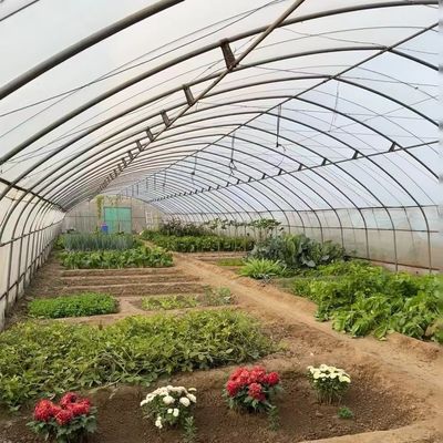 Революционируйте производство овощей с помощью теплицы с капельным орошением