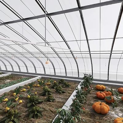 Революционируйте производство овощей с помощью теплицы с капельным орошением