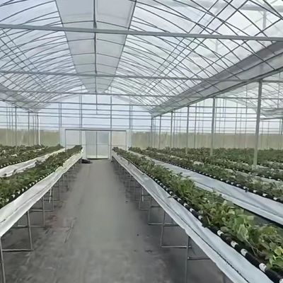 Система гидропонического выращивания овощей в теплицах с многоразовым расстоянием для стальной конструкции 20 000 кг