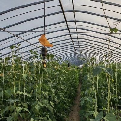 Китайское происхождение пленка покрытие теплицы установка стоимость доставки и расчетный срок доставки