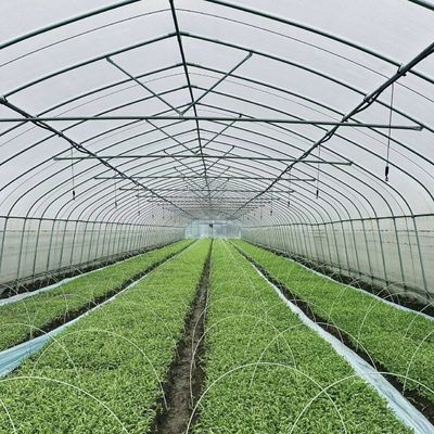 Китайское происхождение пленка покрытие теплицы установка стоимость доставки и расчетный срок доставки
