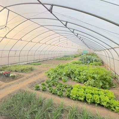 Китайское происхождение пленка покрытие теплицы установка стоимость доставки и расчетный срок доставки