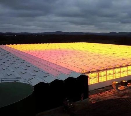 Специализированное заявление Оригинальное название Теплица с двойной аркой для овощей 20GP/40GP/40HC