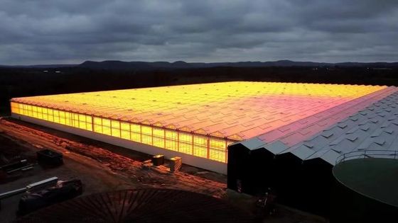 Культивирование грибов на сводчатой крыше Солнечный свет Тепличная упаковка Валовая масса 1000.000kg