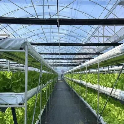 Коммерческий тепличный комплект с многопролетным оборудованием с прочной PVC трубой и системой капельного орошения