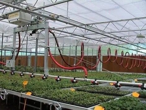 Происхождение Теплица с двойной аркой для капсикума Стоимость доставки и производство Теплица