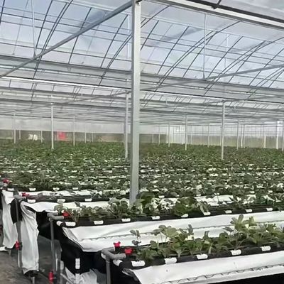 Происхождение Сельскохозяйственная теплица с многоразовой пленкой для вашего сельского хозяйства