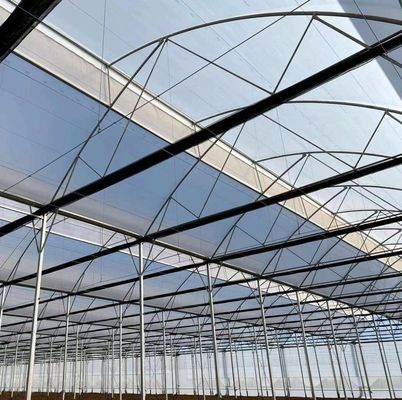 Одно- или многоразовые вибраторы для выращивания фруктовых помидоров
