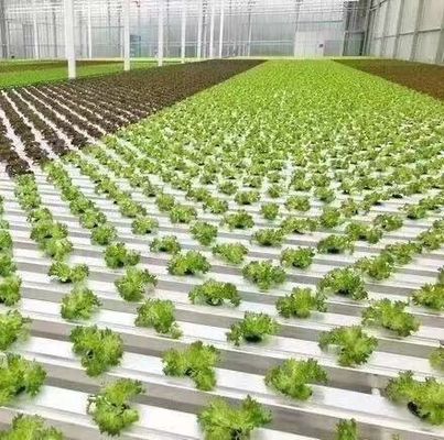 Стальной пластмассовой двойной арки конструкции теплицы для овощей