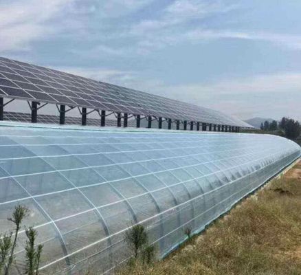 Метод нагрева с неотапливанием Стенная панель Коммерческая теплица с дизайном одной арки