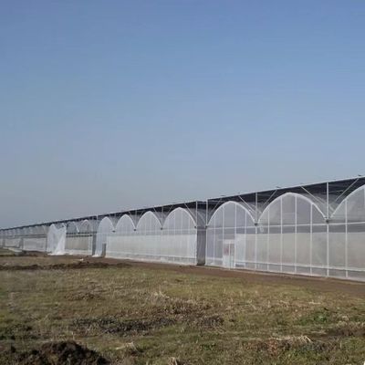 Специализированная многоразовая пленка теплицы для посадки цветов 30 дней гарантия возврата денег