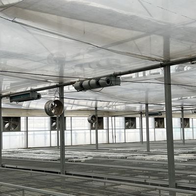 Гибкая многопролетная теплица для производства овощей