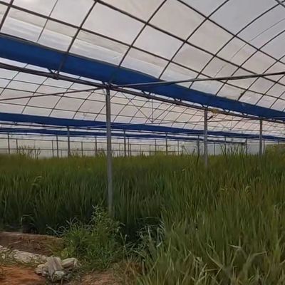 Настраиваемое решение для выращивания овощей на гидропонной основе