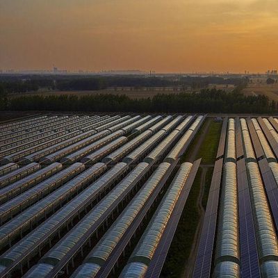 30 дней Возврат Возврат средств Двухслойная PE/Po Пластиковая пленка Фотоэлектрическая солнечная теплица