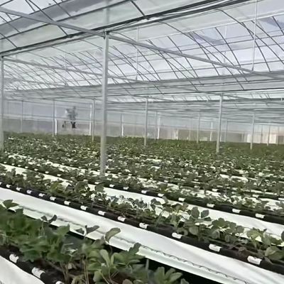 Пакет Размер 50,00 см * 60,00 см * 50,00 см Многоразовые теплицы с капельным орошением