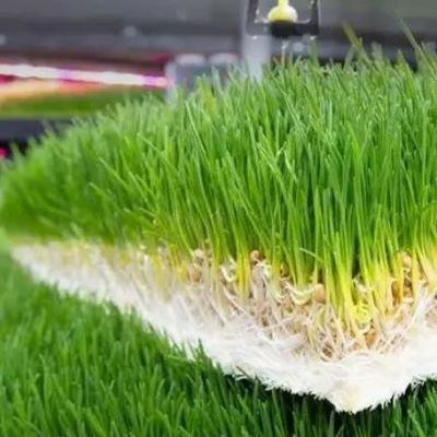Многофункциональный фураж в контейнерах для двойного выращивания цветов/овощных культур/семен