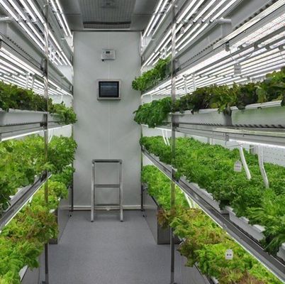 Стоимость перевозки и расчетный срок доставки Контейнерные теплицы для листовых овощей