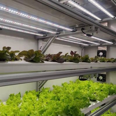 Стоимость перевозки и расчетный срок доставки Контейнерные теплицы для листовых овощей