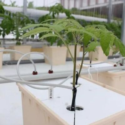 Стальная конструкция Вертикальный контейнер для сельского хозяйства Теплица с многоразовой гидропонной системой