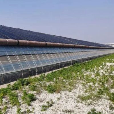 Пластиковые теплицы отделение многопролетные Po/PE коммерческие теплицы с гидропоникой