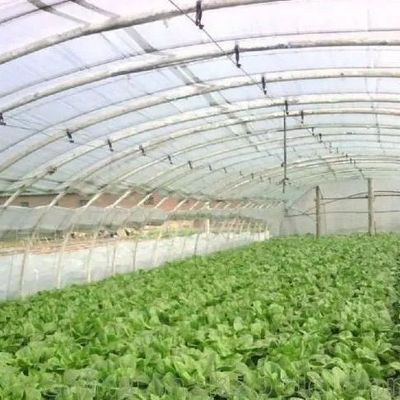 Пластиковые теплицы отделение многопролетные Po/PE коммерческие теплицы с гидропоникой