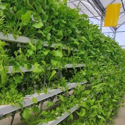 2000.000kg Пакет валовой массы Коммерческая теплица для гидропоники Климатически контролируемая