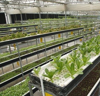 2000.000kg Пакет валовой массы Коммерческая теплица для гидропоники Климатически контролируемая