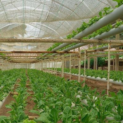 Материал покрытия пластикового листа Продвинутая гидропоническая пленка теплицы