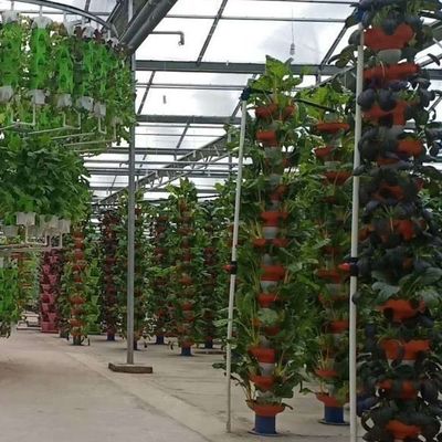 Подходящий для выращивания семян бюджетный теплица с пленкой с пластиковым покрытием