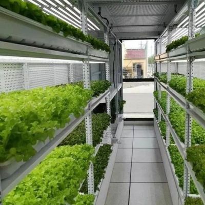Коммерческая система выращивания микрозеленых растений в помещении с гидропоникой с контейнером-теплицей JX